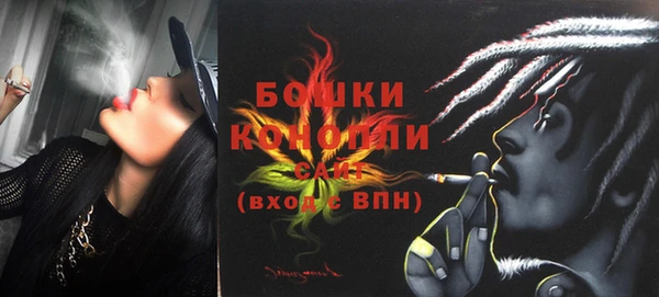 ешки Белокуриха