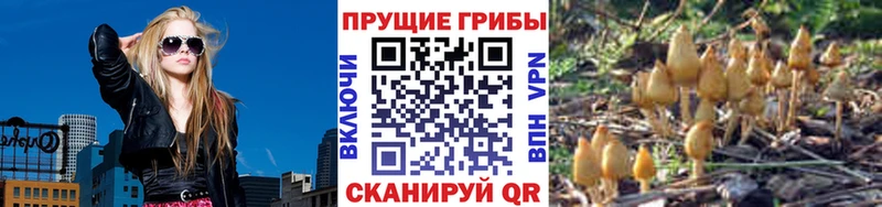 blacksprut ONION  Городовиковск  Галлюциногенные грибы мухоморы 