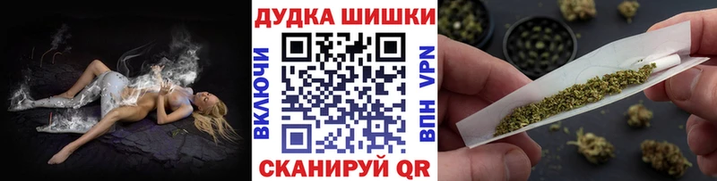 дарнет шоп  Городовиковск  гидра как зайти  Марихуана SATIVA & INDICA 
